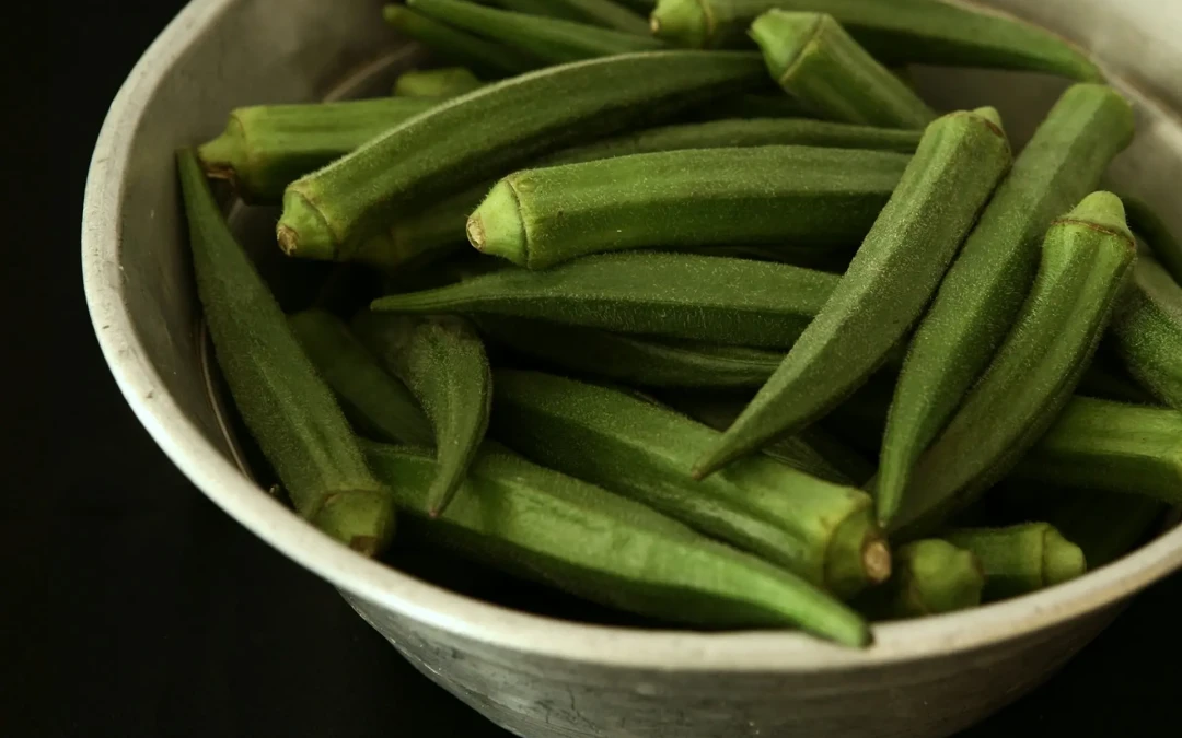 Gombo : conseils, bienfaits, recettes et conservation